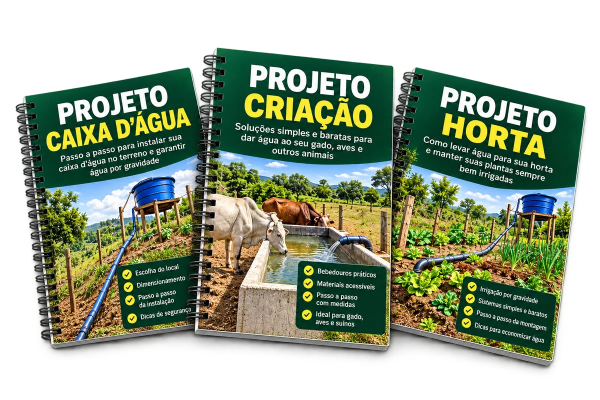 Mockup sem fundo dos três projetos bônus: caixa d’água, criação e horta
